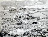 Small Pond on Dartmoor, Pony Grazing by Roger Dennis, Drawing, Indian Ink wash and line
