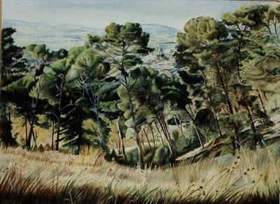Aspiran from the Hill #1 by Roger Dennis, Painting, Watercolour on Paper